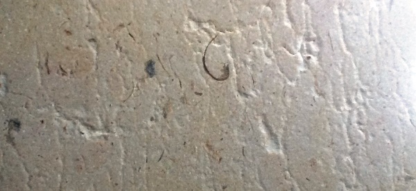 brushed spanish limestone cenia cream