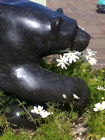 Soignie limestone bears of Bicester Village