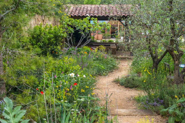 Perfumer's Garden in Grasse by James Basson, sponsored by l'Occitane at RHS Chelsea 2015