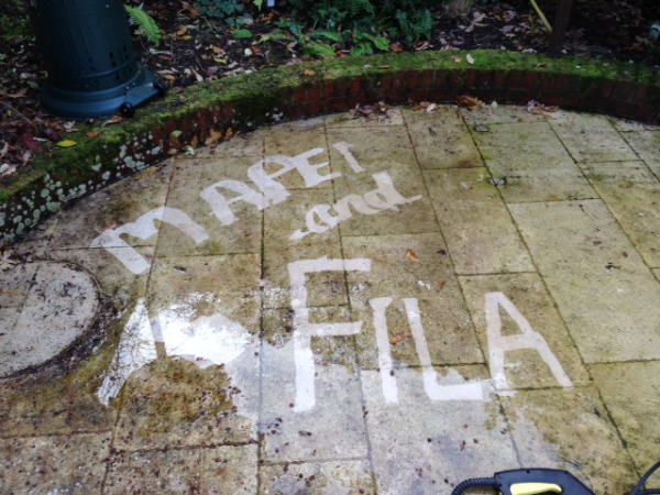 Ampilly French Limestone, Mapei grout and Fila protection