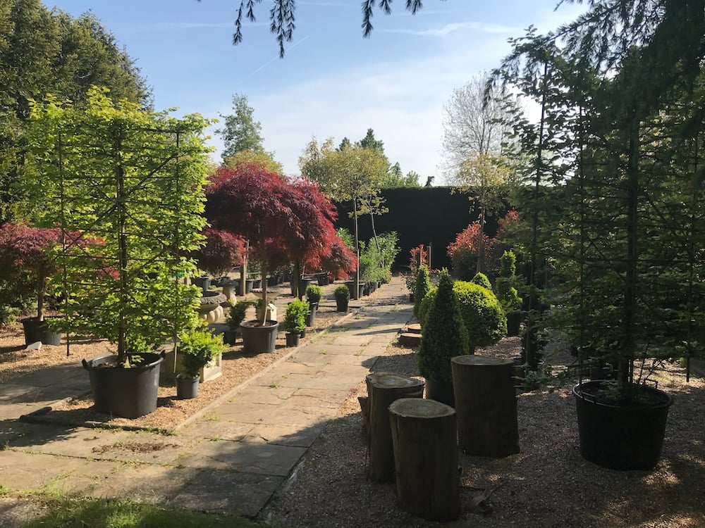 French limestone and plants for garden designers