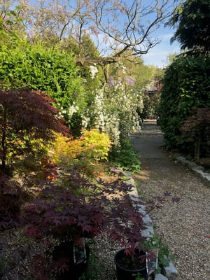 French limestone for landscape designers - showroom in a garden setting