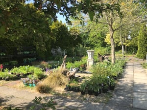 French limestone for landscape designers in a garden setting