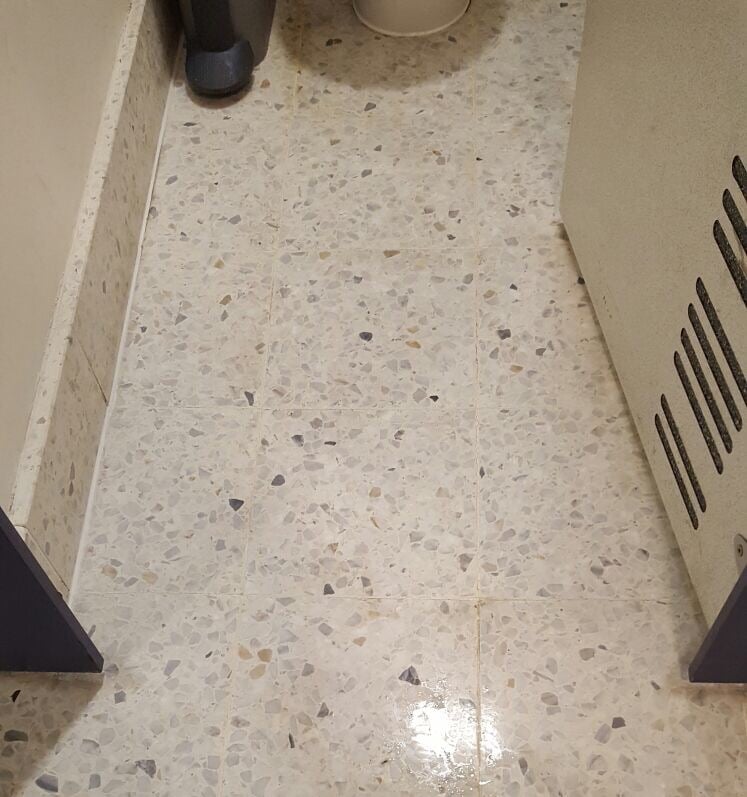 Restoration of a terrazzo floor - after cleaning